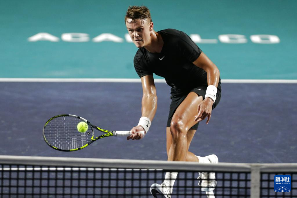 场上视野 场上视野